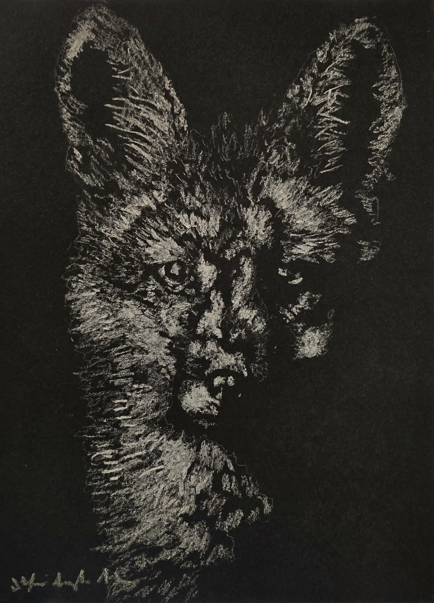 `The Fox