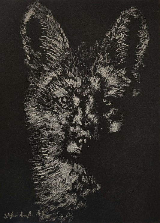 `The Fox